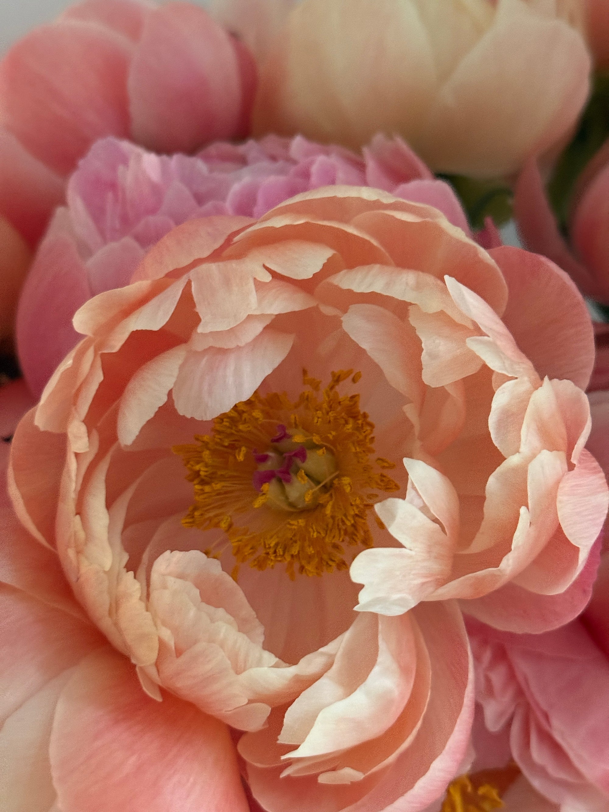 Weil Qualität spürbar ist